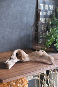 流木販売 中型サイズ