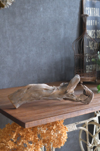 流木販売 小型サイズ