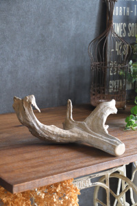 流木販売 中型サイズ