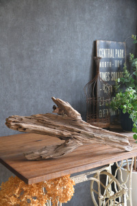 流木販売 大型サイズ