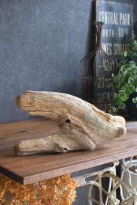 流木販売 中型サイズ