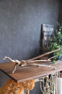 流木販売 大型サイズ