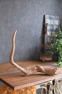 流木販売 中型サイズ