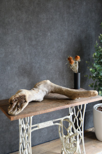 流木販売 大型サイズ