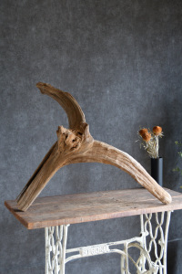 流木販売 特大サイズ