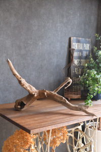 流木販売 大型サイズ