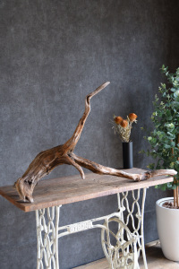 流木販売 特大サイズ