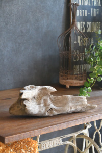 流木販売 小型サイズ