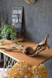 流木販売 かたまり流木