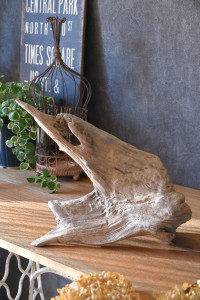 流木販売 かたまり流木