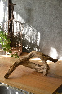 流木販売 かたまり流木