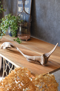 流木販売 かたまり流木