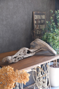 流木販売 大型サイズ