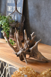 流木販売 根っこ流木