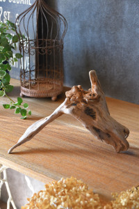 流木販売 かたまり流木