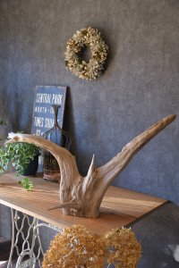 流木販売 かたまり流木