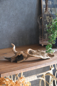 流木販売 小型サイズ