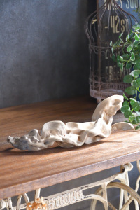 流木販売 小型サイズ