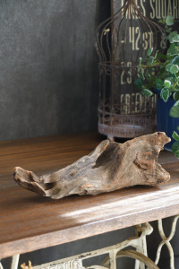 流木販売 小型サイズ