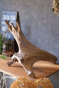 流木販売 根っこ流木