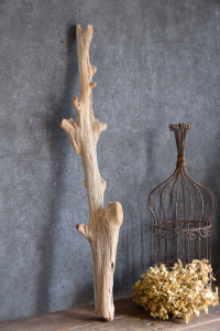 流木棒 長さ50cm～100cm