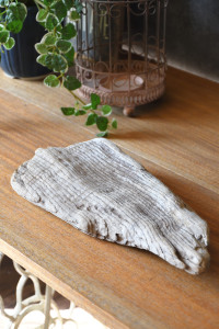 流木販売 かたまり流木