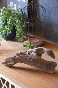 流木販売 かたまり流木