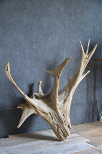 流木販売 特大サイズ