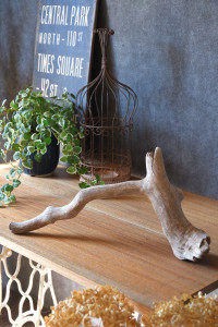 流木販売 かたまり流木