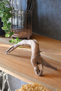 流木販売 かたまり流木