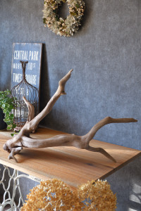 流木販売 根っこ流木