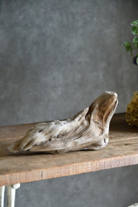 流木販売 小型サイズ