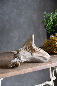 流木販売 小型サイズ