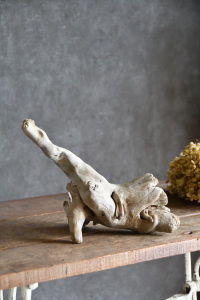 流木販売 小型サイズ