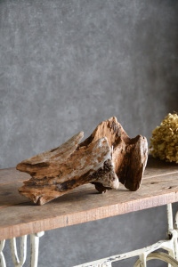 流木販売 小型サイズ