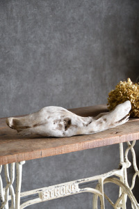 流木販売 小型サイズ