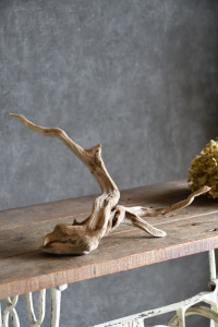 流木販売 小型サイズ