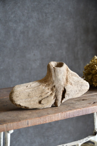 流木販売 小型サイズ