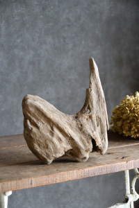 流木販売 小型サイズ