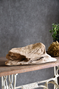 流木販売 中型サイズ