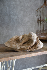 流木販売 中型サイズ