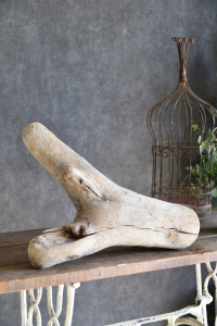 流木販売 中型サイズ