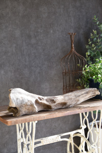 流木販売 大型サイズ