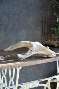 流木販売 小型サイズ