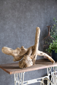 流木販売 大型サイズ