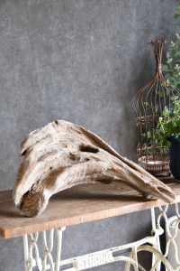 流木販売 大型サイズ