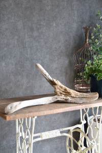 流木販売 大型サイズ