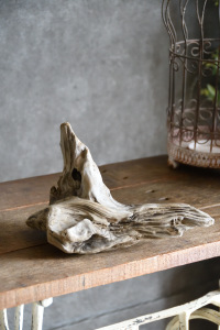 流木販売 小型サイズ