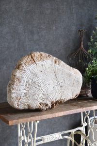 流木販売 大型サイズ