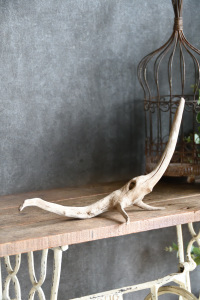 流木販売 小型サイズ